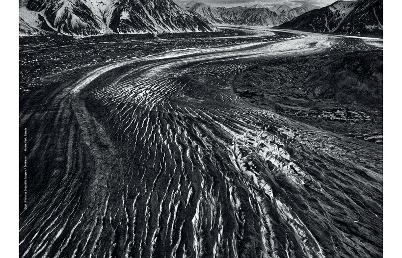 Trento Film Festival