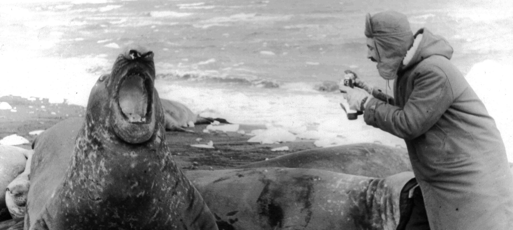 Trento Film Festival 2025: 25. April - 4. Mai