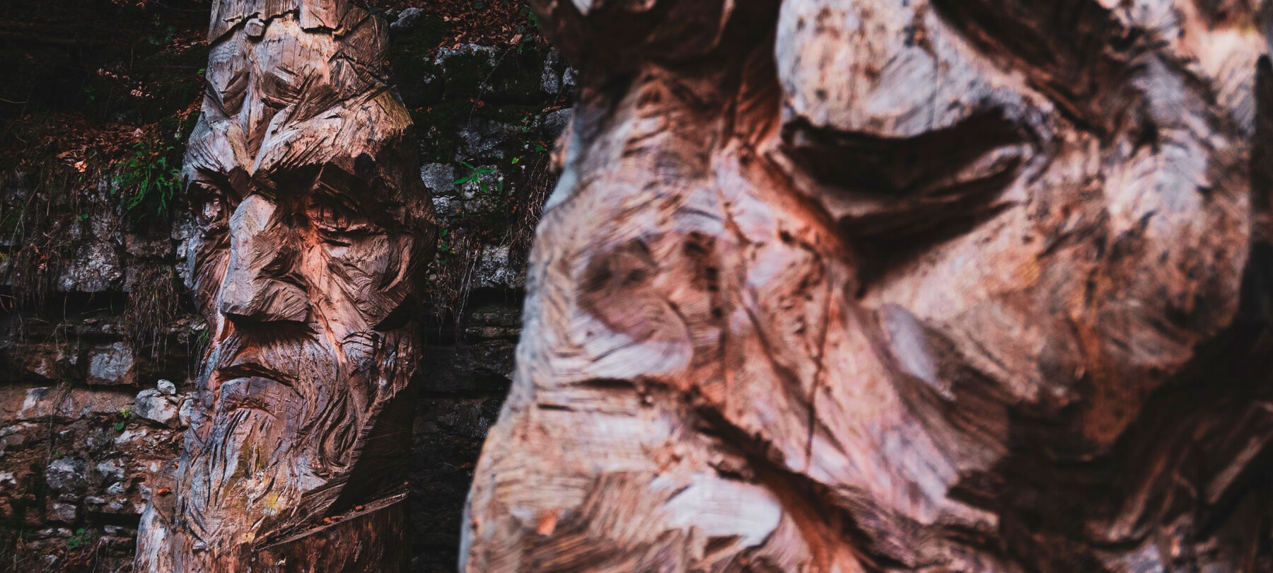 AlpeCimbra-Luserna-SentieroCimbrodellImmaginario_SimoneMondino_39694 | © Simone Mondino