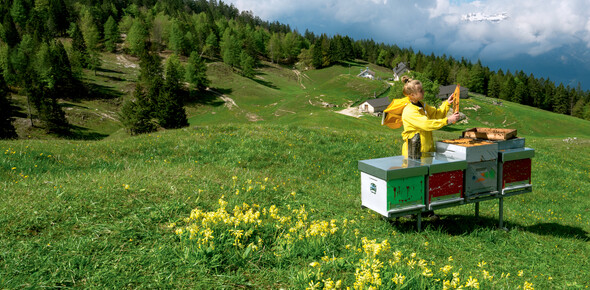 Francesca Paternoster