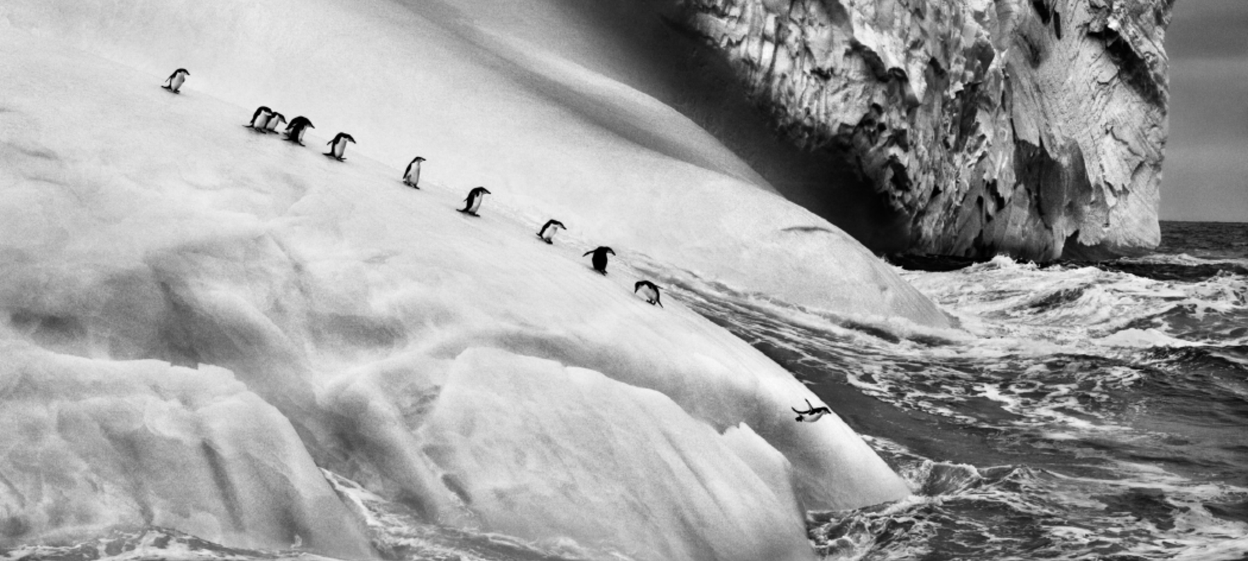 La mostra di Salgado sui ghiacciai in Trentino