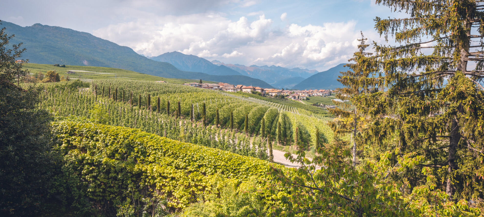 Laboratorio di sostenibilità