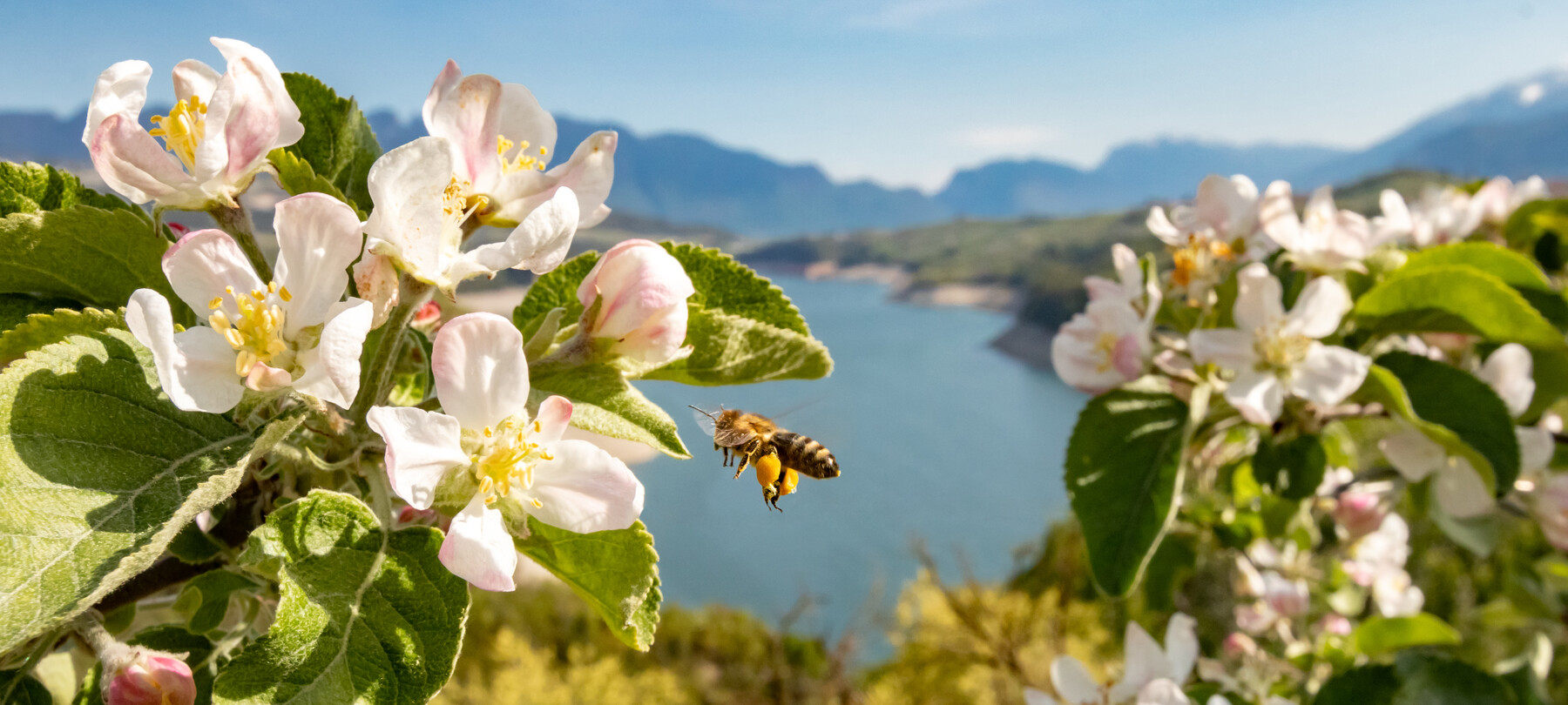 Val di Non sostenibile