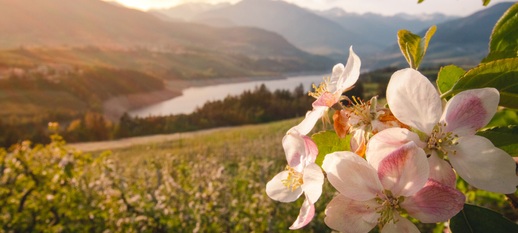 Val di Non sostenibile