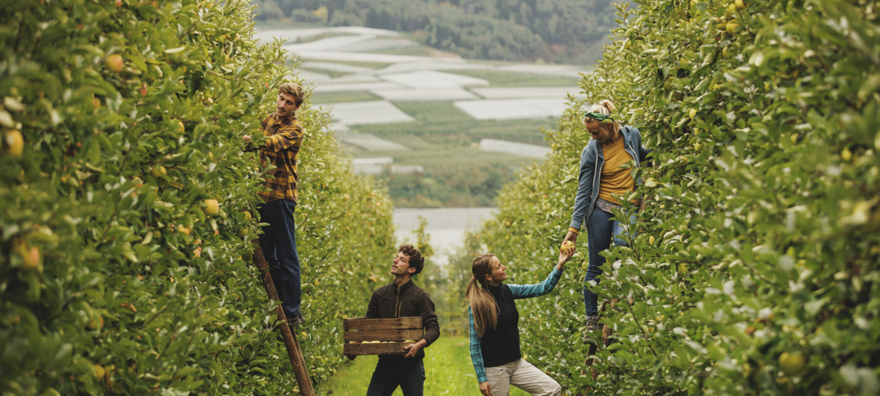 Nachhaltiges Val di Non