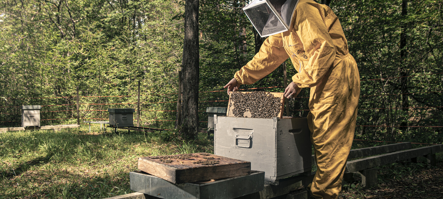 Val di Non sostenibile
