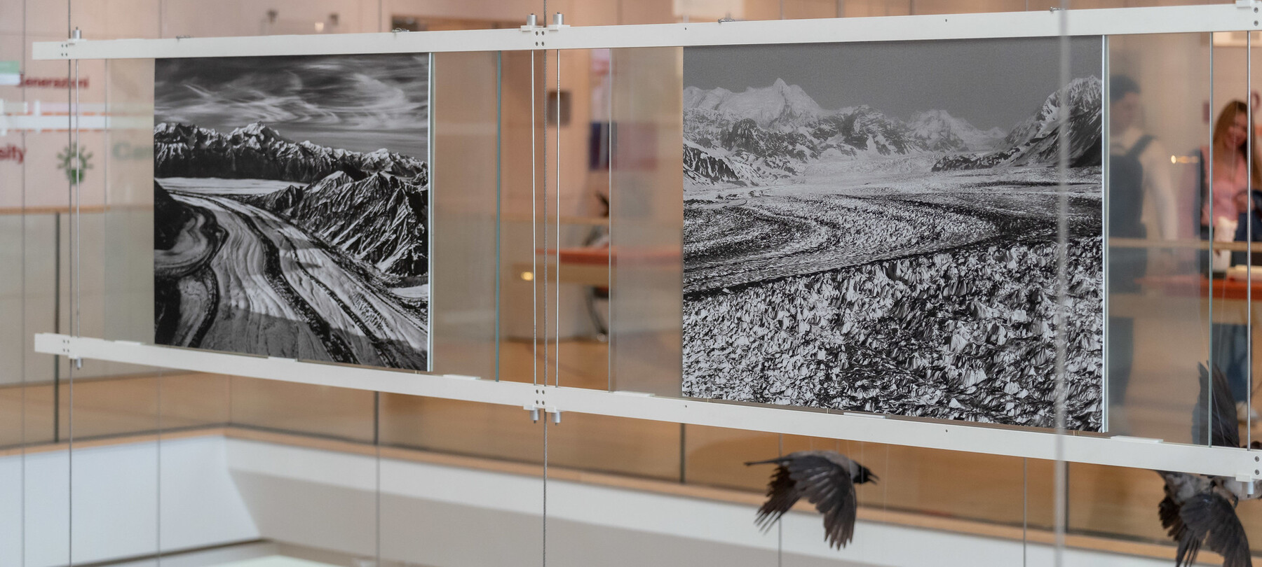 La mostra di Salgado sui ghiacciai in Trentino