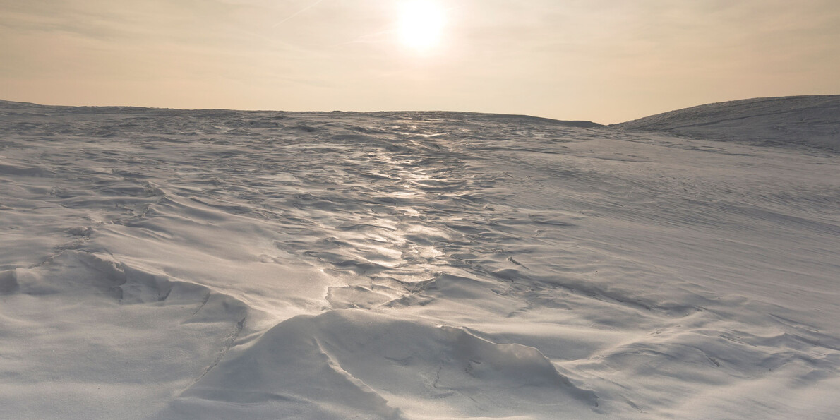 2025 International Year of Glaciers
