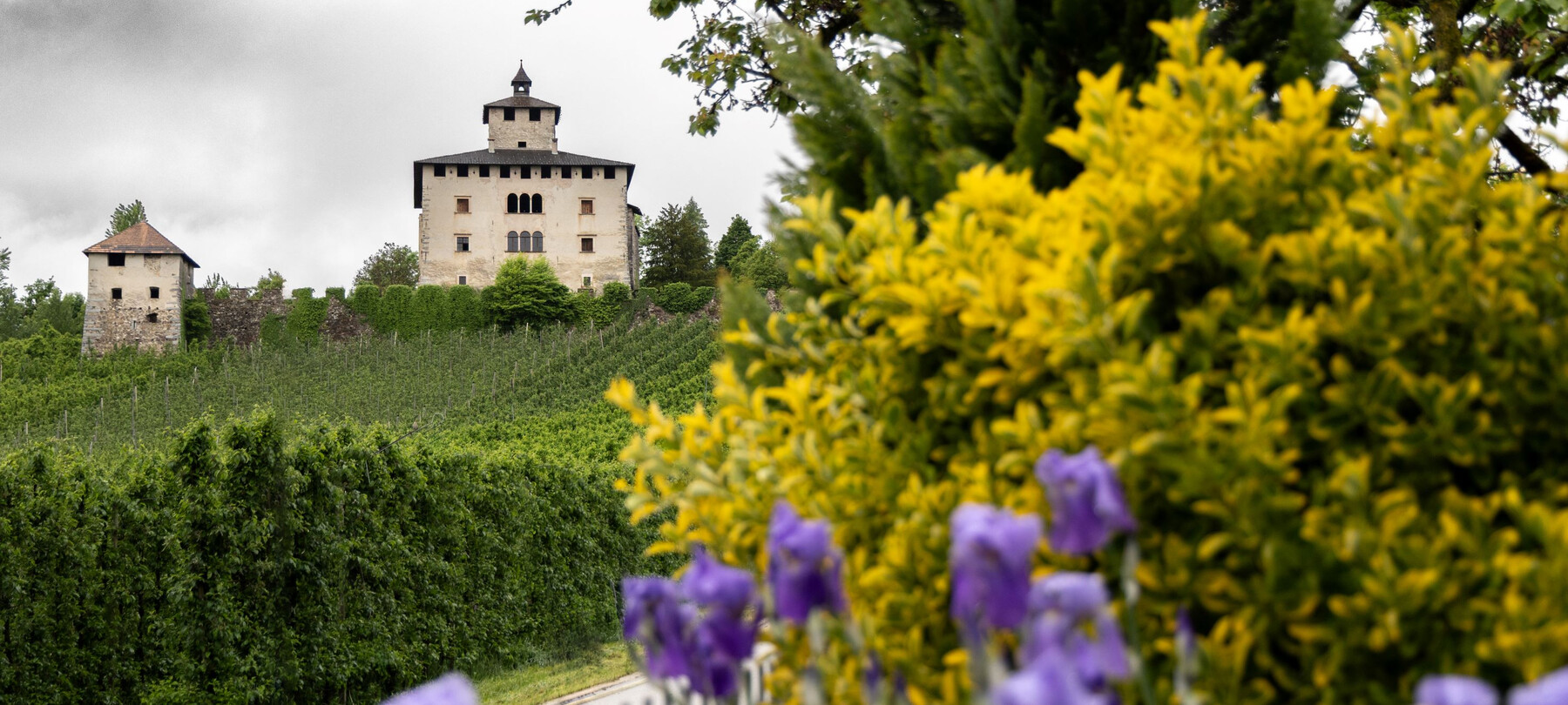 The Coredo witch trials in Palazzo Nero and Castel Nanno