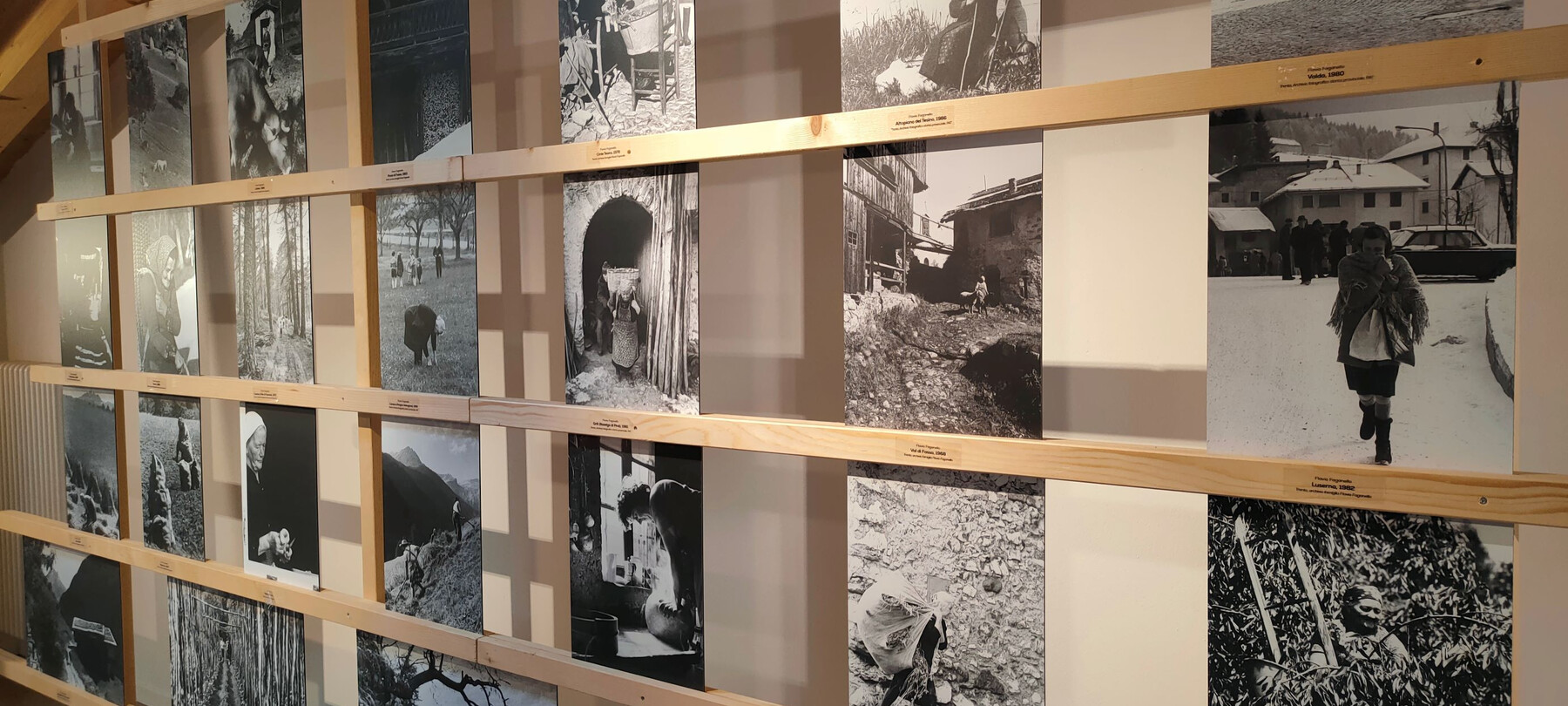 La mostra “Radici” al Museo di Luserna