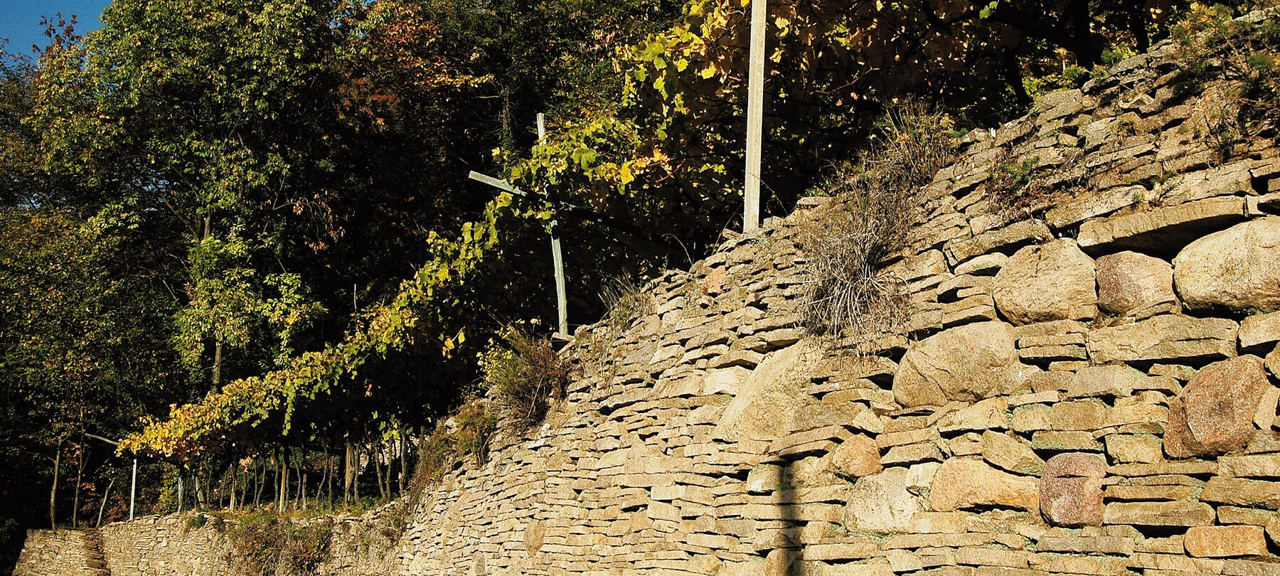 Dry stone walls in Trentino 