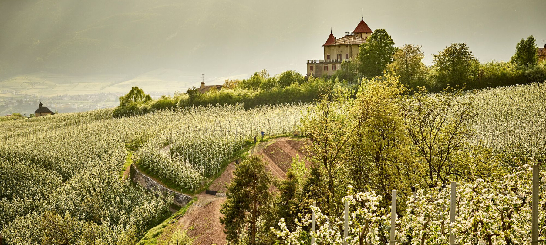Trockenmauern im Trentino 