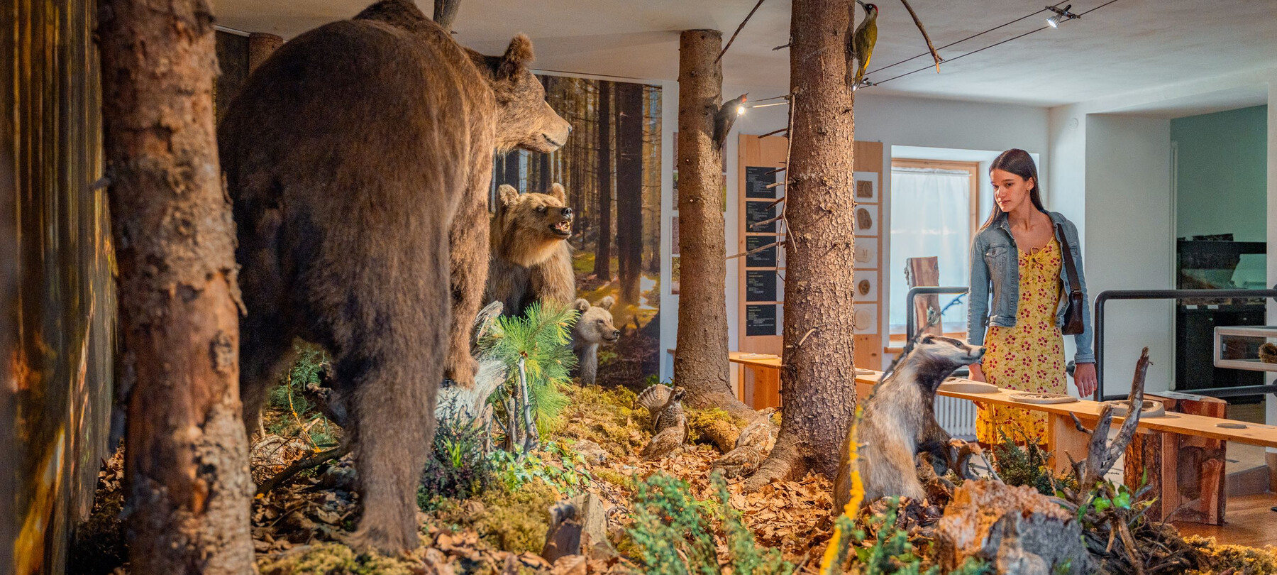 Museo Lusérn: Was es machen und zu sehen gibt, um die Zimbern kennenzulernen
