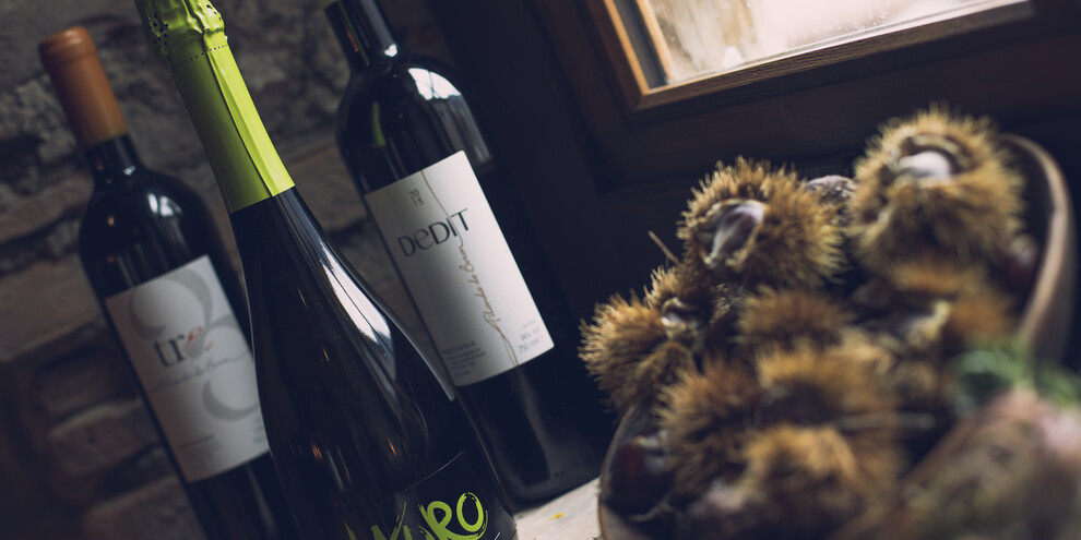 Weine aus Höhenlagen