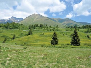 Rete di Riserve Alto Noce | © Foto Nitida Immagine