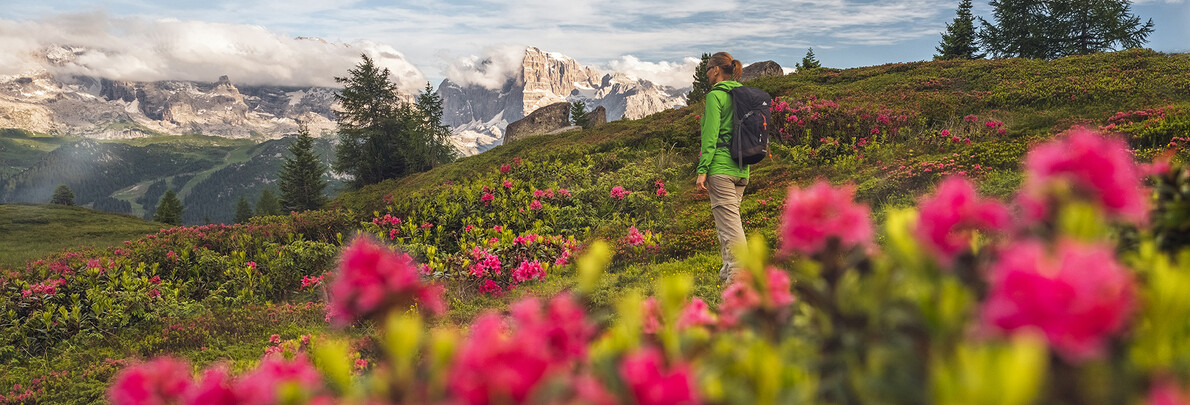 2026 Winter Olympics and Paralympics in Val di Fiemme, in Trentino 