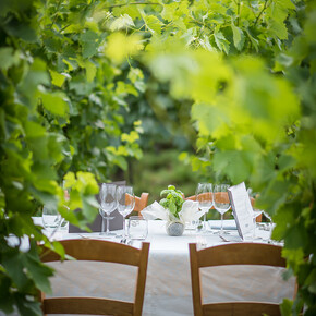 Experiences with wine and similar pleasures