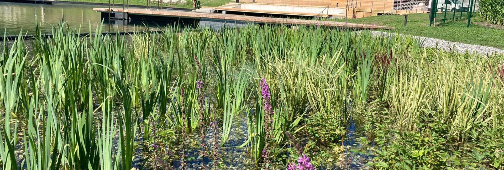 Biolago di Pinzolo | © ph. APT Madonna di Campiglio Pinzolo Val Rendena