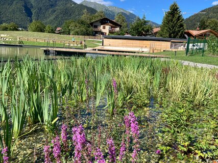 Biolago di Pinzolo - ph. APT Madonna di Campiglio Pinzolo Val Rendena | © ph. APT Madonna di Campiglio Pinzolo Val Rendena