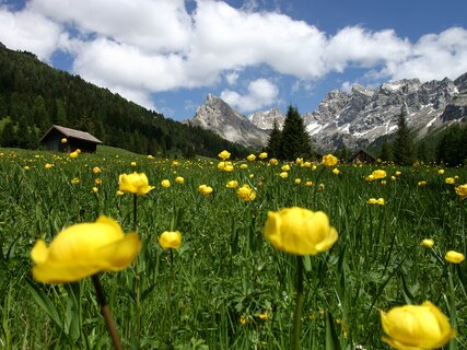Rete di Riserve della Val di Fassa | © Archivio Immagini ApT Val di Fassa - Foto di Nicola Angeli
