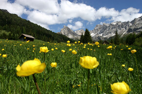 Network of Nature Reserves - Val di Fassa | © Archivio Immagini ApT Val di Fassa - Foto di Nicola Angeli