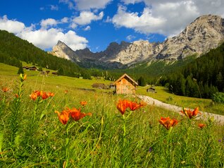 Rete di Riserve della Val di Fassa | © Archivio Immagini ApT Val di Fassa - Foto di Nicola Angeli