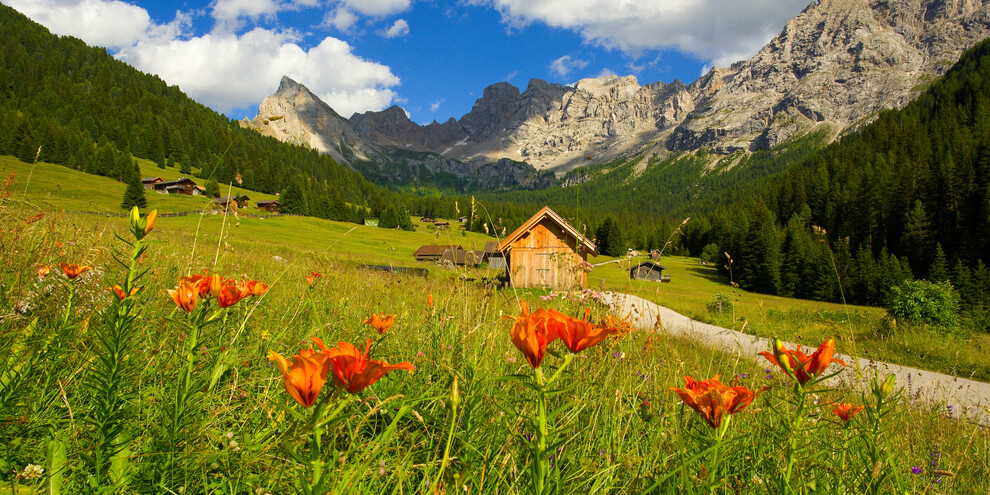 Bezoek het netwerk van natuurgebieden van de Val di Fassa | © Archivio Immagini ApT Val di Fassa - Foto di Nicola Angeli