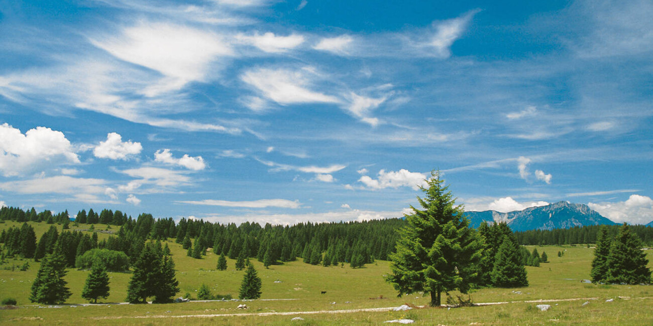 Alpe Cimbra Folgaria Lavarone Luserna #6