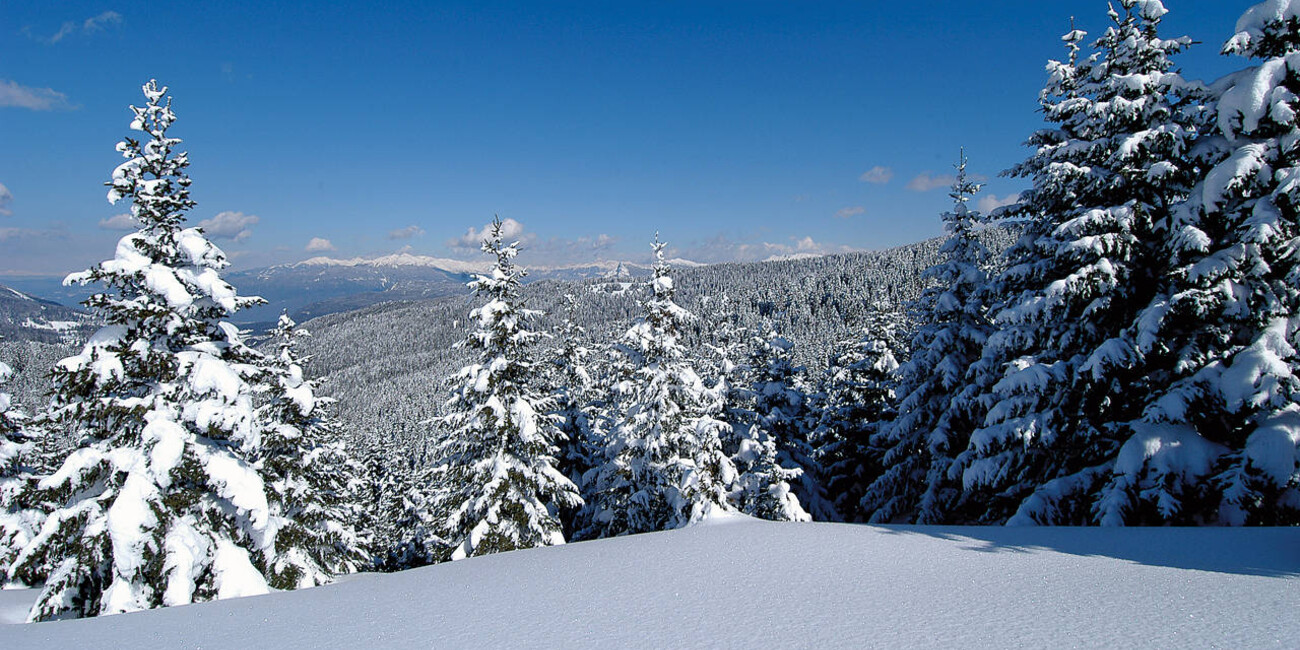 Alpe Cimbra Folgaria Lavarone Luserna #5