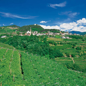 Verla di Giovo, Panorama