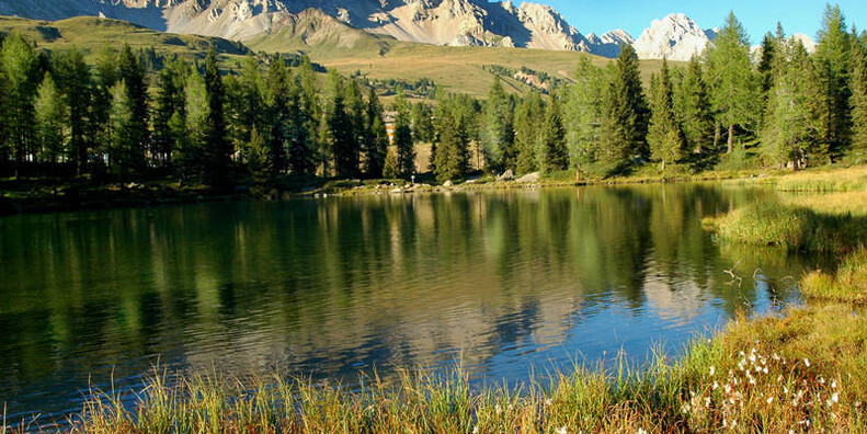 Passo San Pellegrino  #10