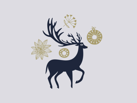 Mercatini di Natale a Pinzolo