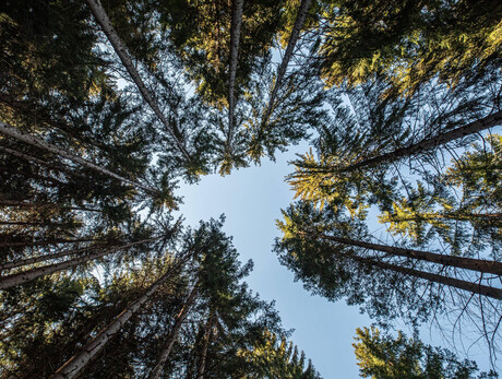 Fiemme in movimento 1