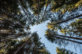 Fiemme in movimento 1