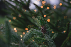 Aspettando il Natale