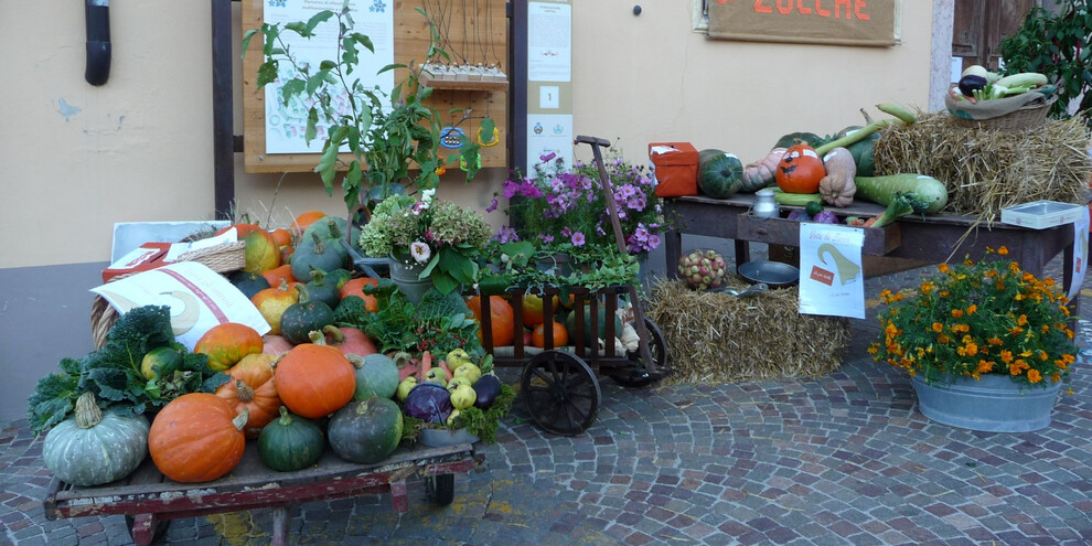 Festa della zucca e degli ortaggi invernali, Lasino