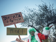 Das Grinch-Haus