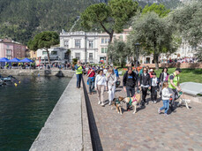 Maratona a sei zampe