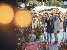 Christmas Market in Arco