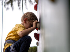 Trentino Experience Festival