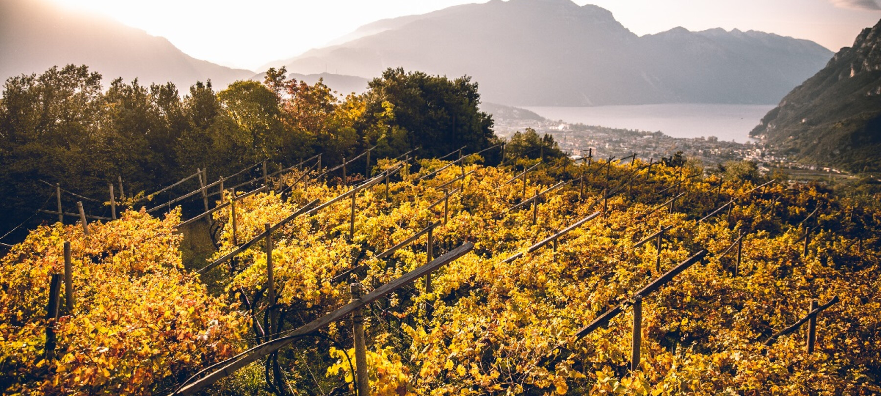 Trentodoc Festival: in Trento from 26 to 28 September 2025