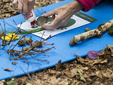 Primo piano sulle mani di una persona impegnata in un laboratorio creativo all'aperto durante il Festival Orme. Su un tappetino blu, la persona sta incollando una pietra, circondata da materiali naturali come pigne, foglie e rametti raccolti nel bosco.