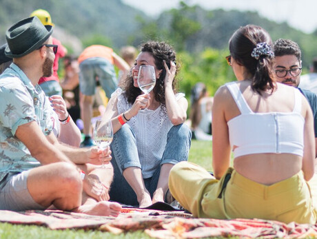 Persone sul prato che bevono un calice di vino 