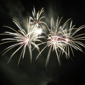 Nell' immagine si vedono fuochi d'artificio nel cielo notturno