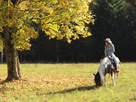 Zu Pferd auf den Monte Gaggio – Tour für Fortgeschrittene