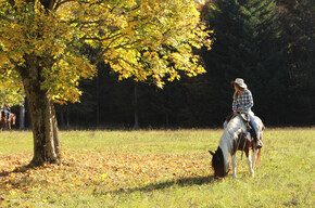 Horseback Riding on Monte Gaggio – Advanced Trail
