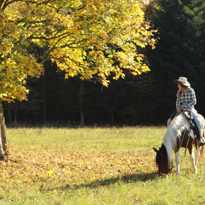 A cavallo sul Monte Gaggio – Escursione per esperti