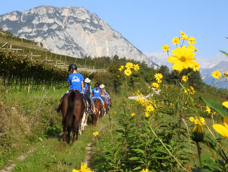 On Horseback in the Footsteps of the Romans – Beginner Trail
