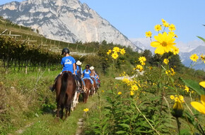 On Horseback in the Footsteps of the Romans – Beginner Trail