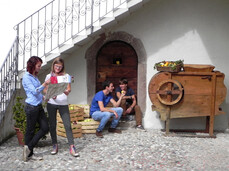 Adoptieren Sie einen Apfelbaum